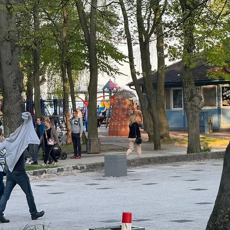 Zeromskiego 2024 Гдыня