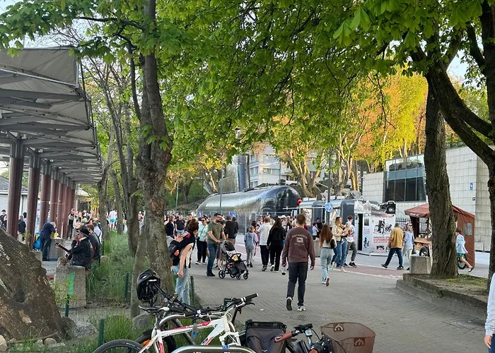 Zeromskiego 2024 Gdynia